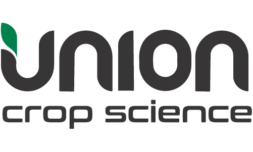 Client Name