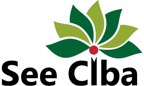 Client Name