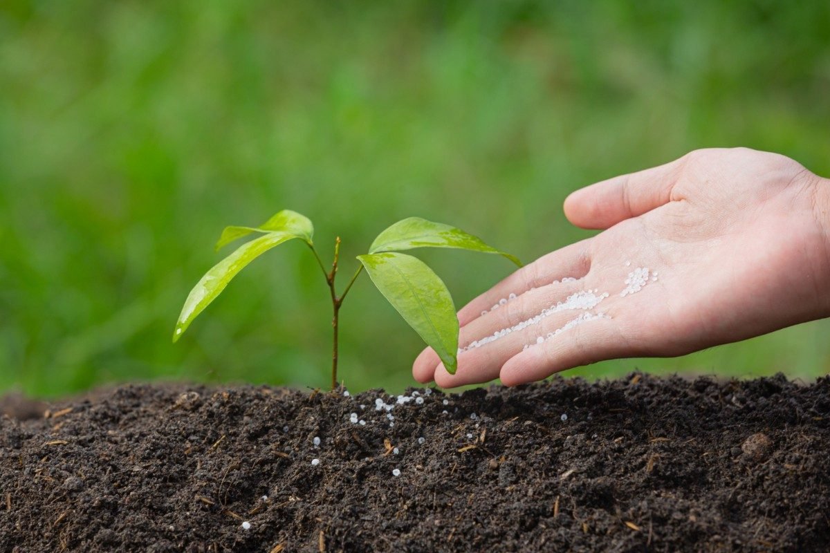Fungicides